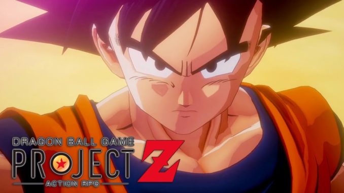 dbz project